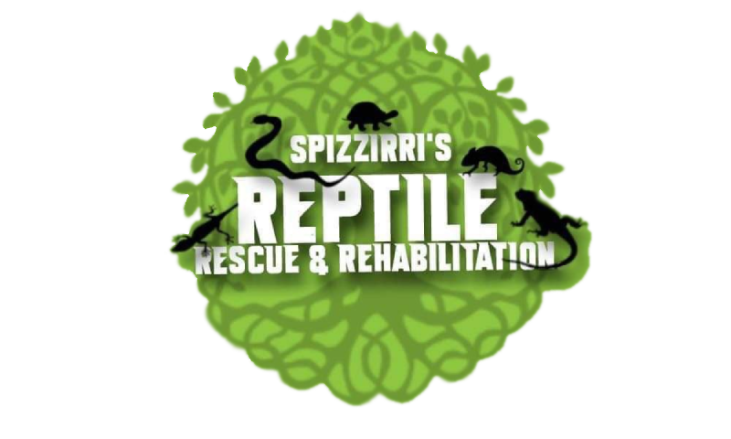 Spizzirri's Reptile Rescue & Rehabilitation 
				text is in the center of the logo; a tree with large roots and vines appears behind it. 
				Reptiles are strewn about the letters over the tree.